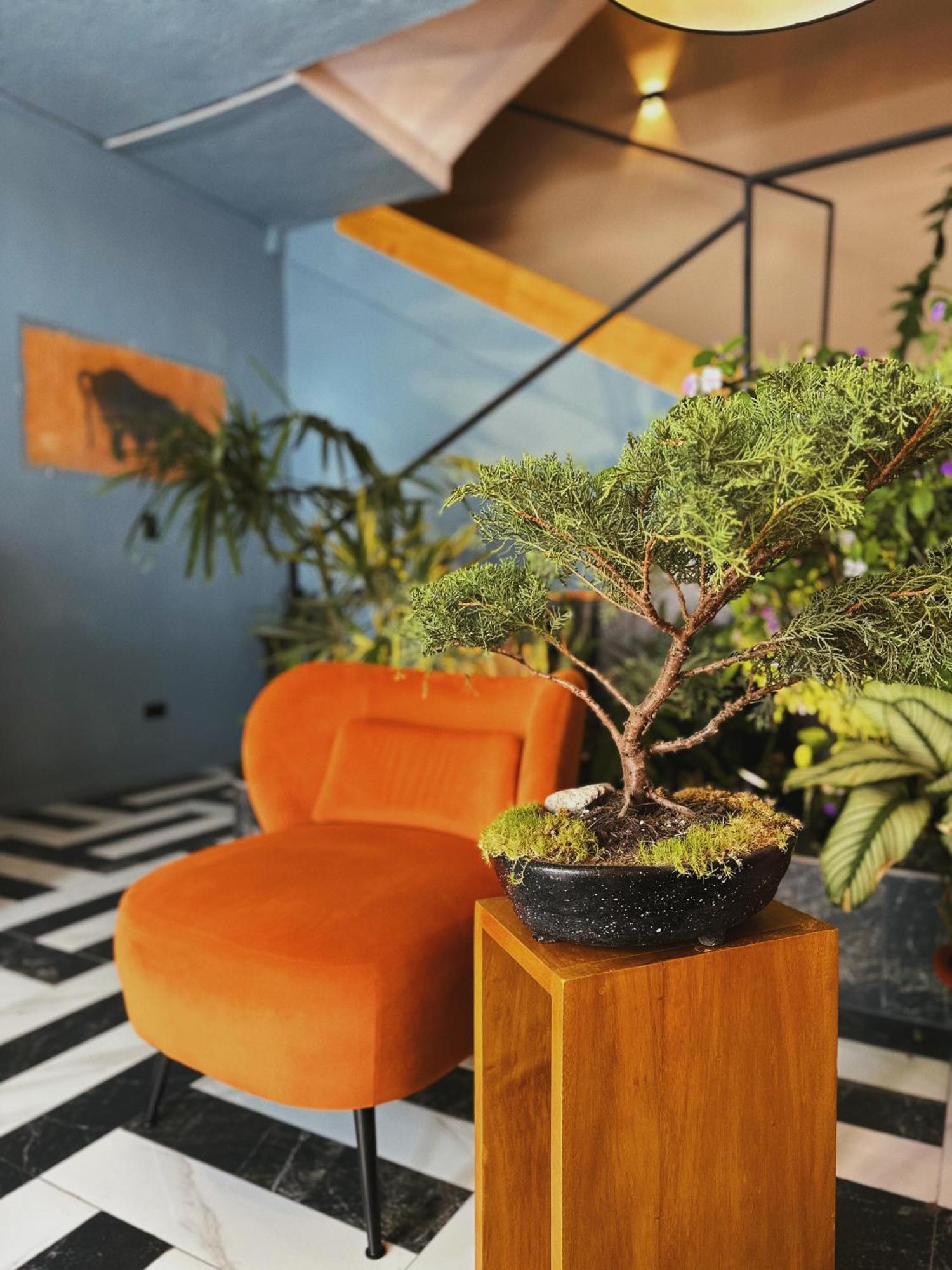 Hotel Agave Banos المظهر الخارجي الصورة